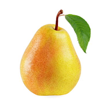 Pera ercolina2