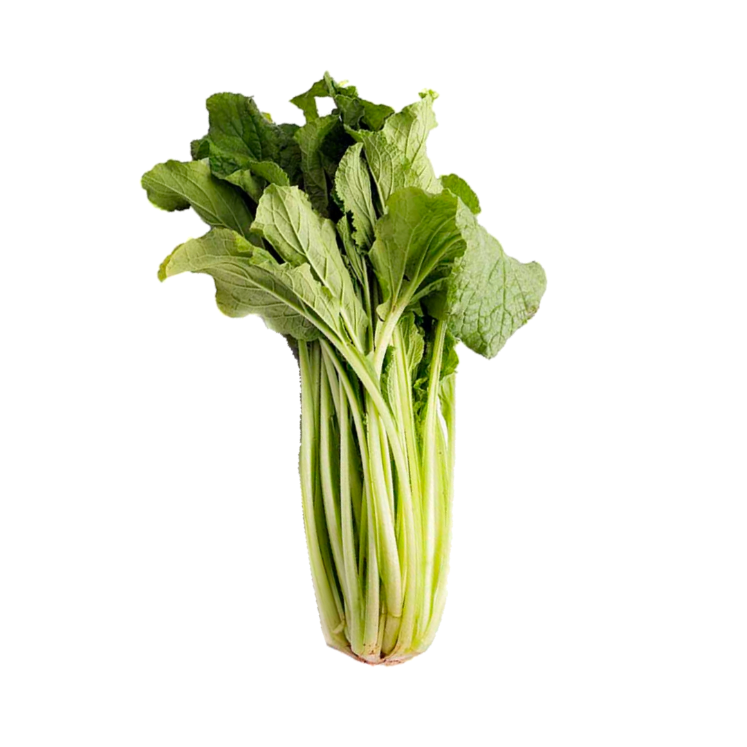 borraja